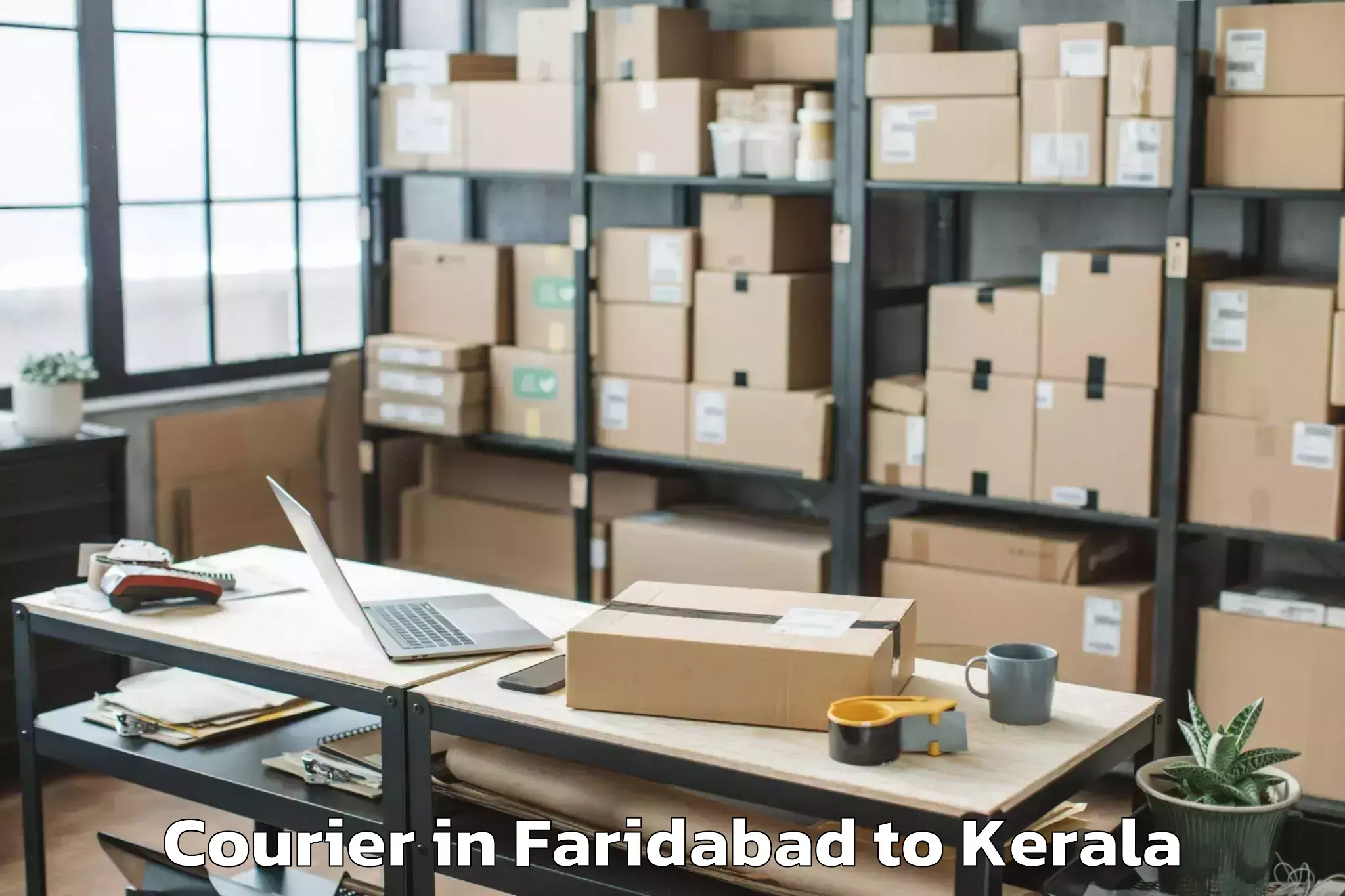 Professional Faridabad to Shoranur Courier